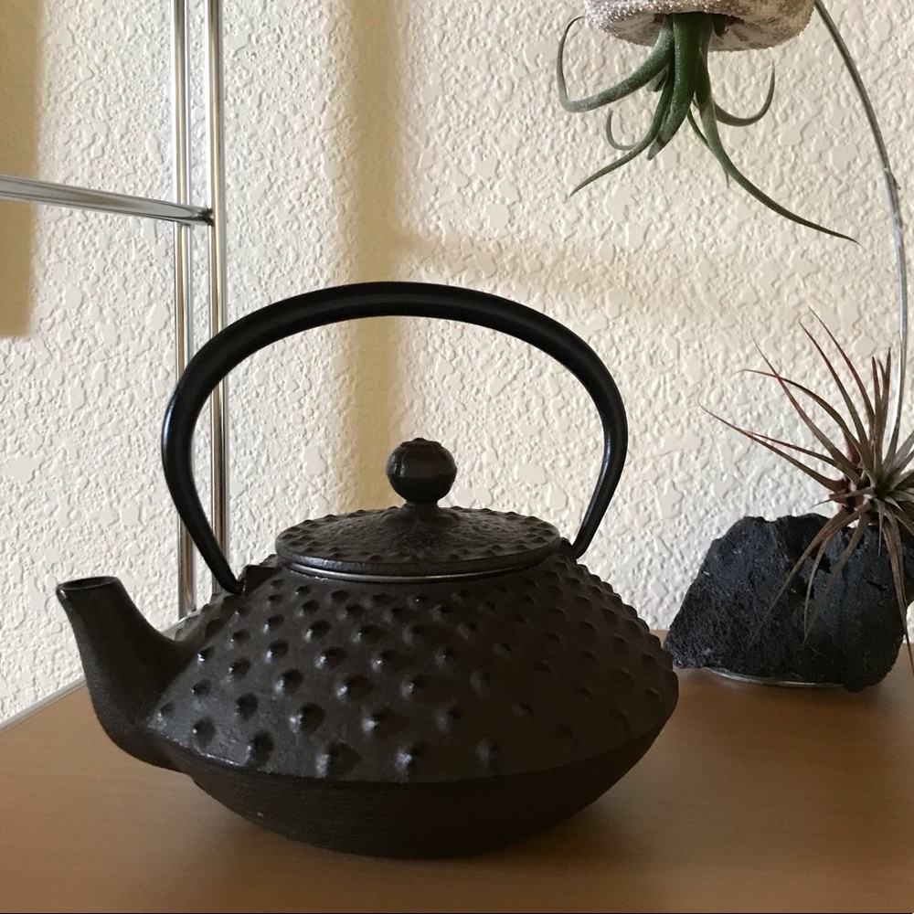 Cast iron teapot